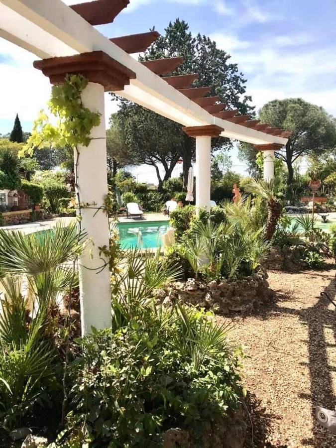 Bed and Breakfast La cactée singulière à Béziers Extérieur photo