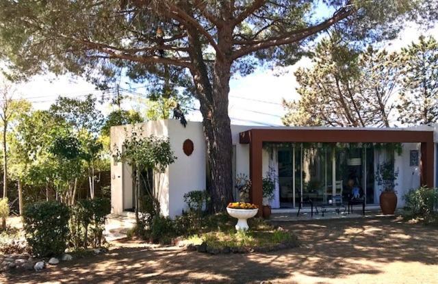 Bed and Breakfast La cactée singulière à Béziers Extérieur photo